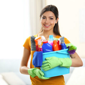 green clean plus house cleaner